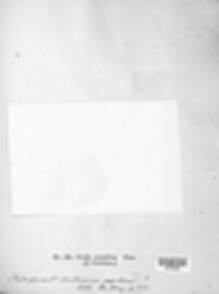 Image Associated With the Occurence